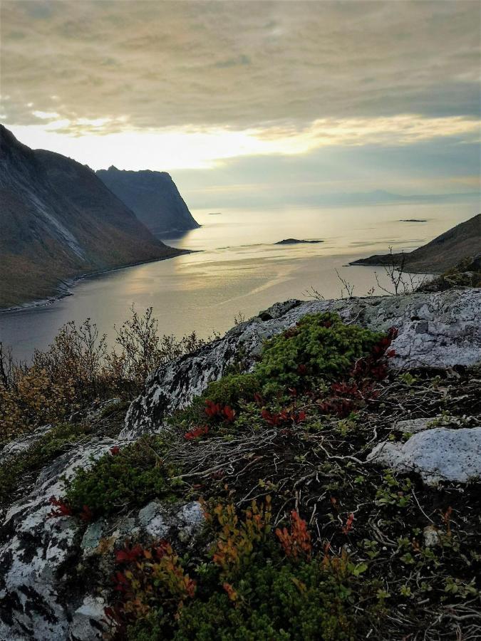 Апартаменти Waterfront Senja Torsken Екстер'єр фото