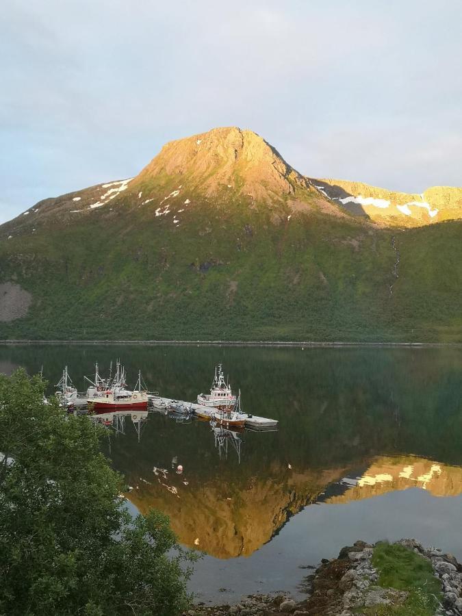 Апартаменти Waterfront Senja Torsken Екстер'єр фото