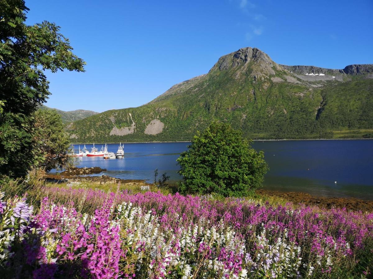 Апартаменти Waterfront Senja Torsken Екстер'єр фото