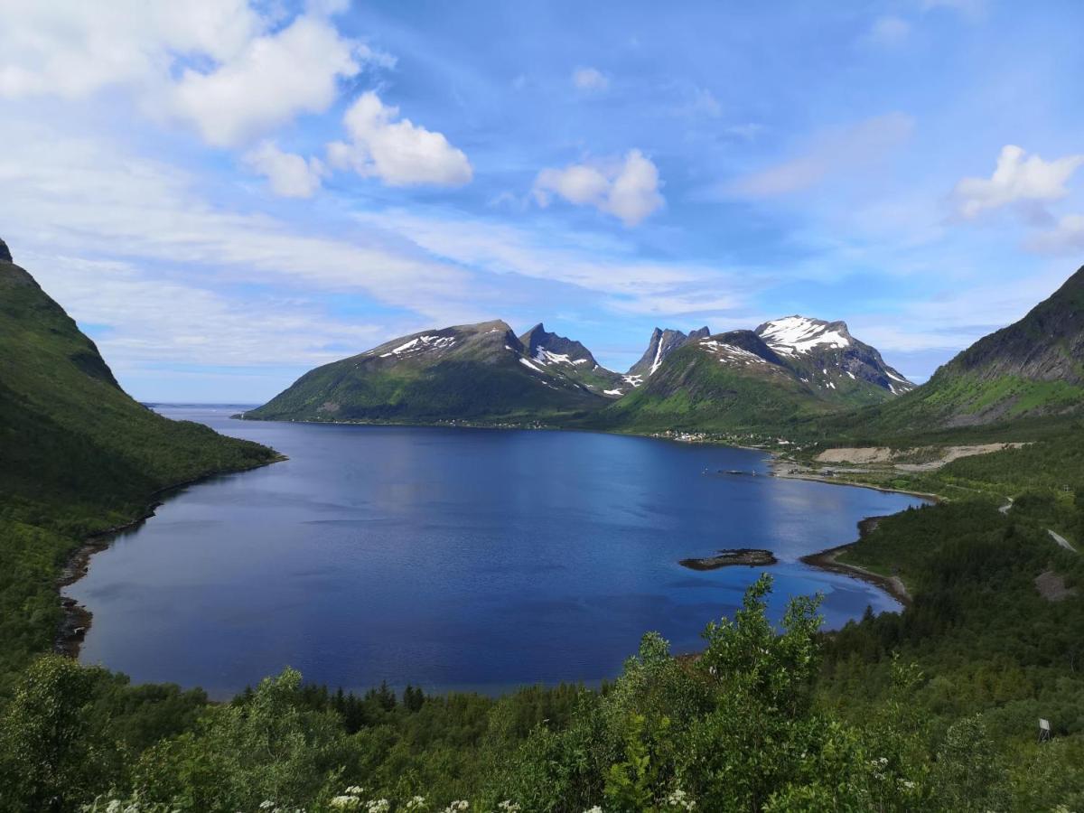 Апартаменти Waterfront Senja Torsken Екстер'єр фото